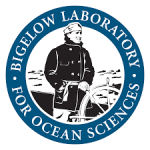 bigelow logo